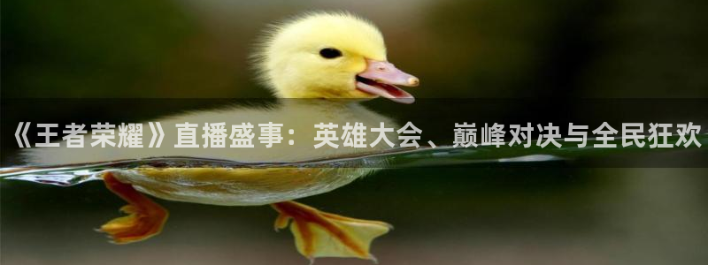 欧博娱乐注册测速：《王者荣耀》直播盛事：英雄大会、巅峰对决与
