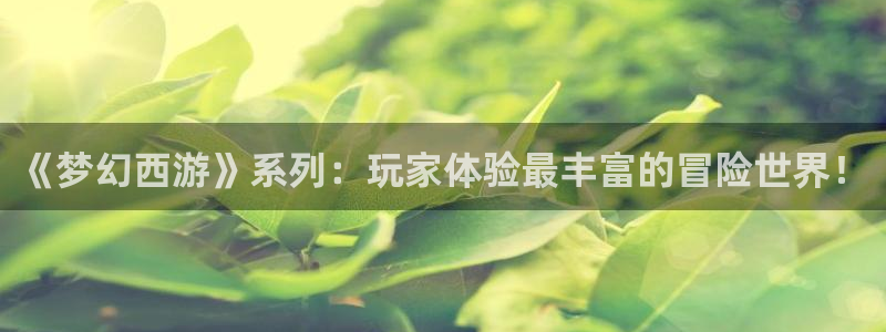 欧博娱乐直属：《梦幻西游》系列：玩家体验最丰富的冒险世界！