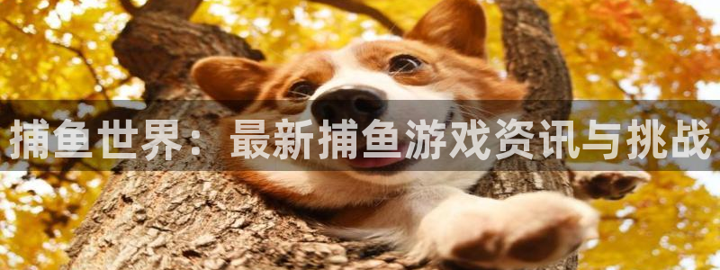 欧博娱乐4招商：捕鱼世界：最新捕鱼游戏资讯与挑战