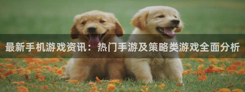 欧博娱乐登陆测速：最新手机游戏资讯：热门手游及策略类游戏全面